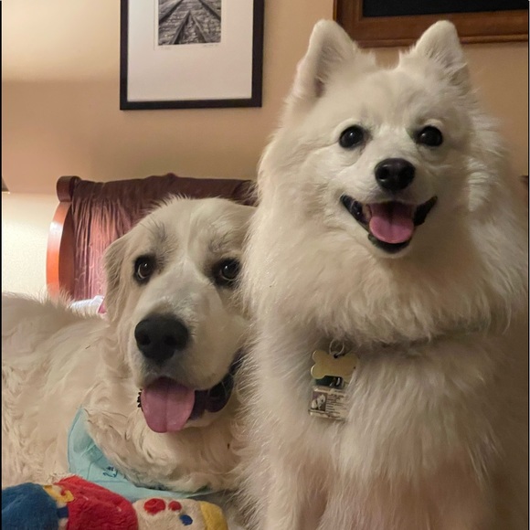 Meet your Posher, Michelle - Picture 6 of 8